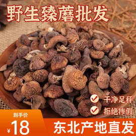 东北榛蘑野生干货长白山东北小鸡炖干蘑菇正宗产地直发保真