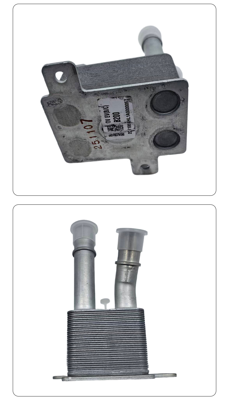 Suitable for Kia Ev5 Electric Vehicle Cooler Radiator Coolant Circulation Cooling Device Oe25670Mb00