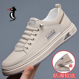 2025全牛皮欧伦啄木鸟男鞋2025男士夏季皮运动休闲皮鞋透气小白鞋