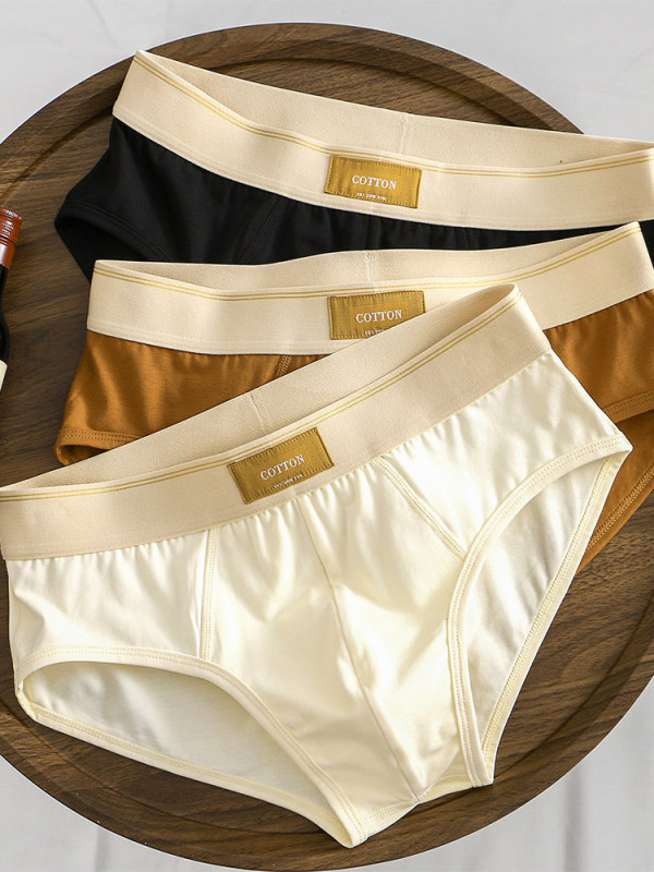 Men's Briefs, Comfortable 2026 New Style Shorts, Loose and Breathable Underwear for Young Men