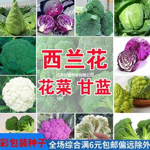 ���˷N���ɻ��˰��ϲ˻�Ҭ�����m�����{�������ﶬ�ļ��߲˷N����