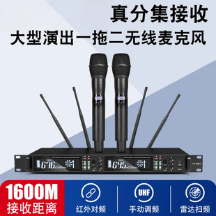 Professional Wireless Microphone One-To-Two True Diversity Anti-Howling Home Ktv Outdoor Stage Wedding Performance Microphone