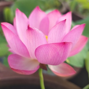 ΢���������r���ܺɻ���ɏ�̨����ˮ�B���Ժɻ����Ԏ������ͺ�