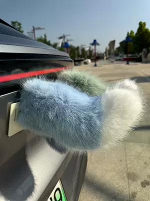 decoration, sound-controlled plush accessory, Other Automotive Exterior Supplies - sky-blue