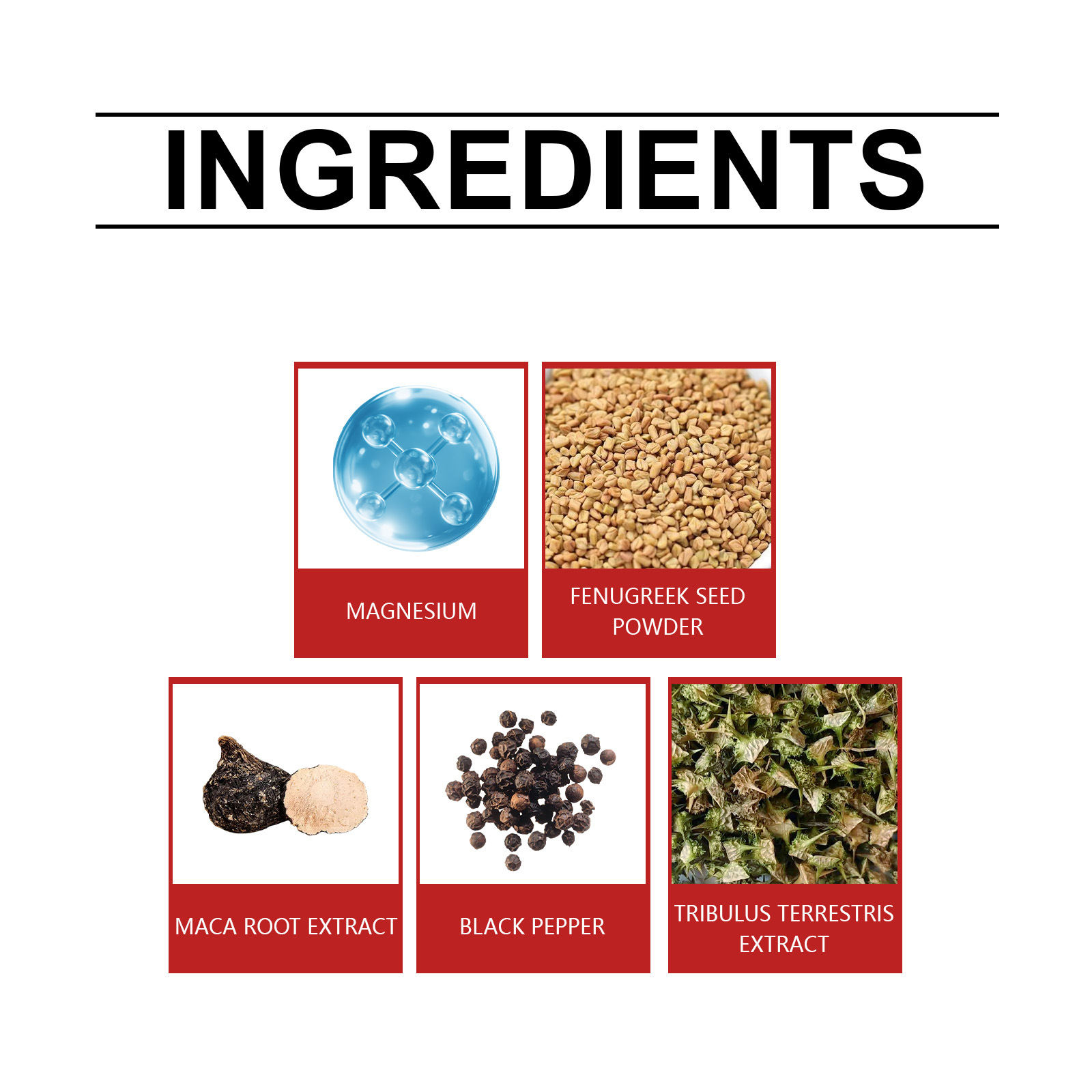 Supplement Capsules Image 3