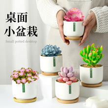 ��¶����ֲ��M���ײ��҃�С��������߶˾Gֲ���ܺ��B���ֲ��