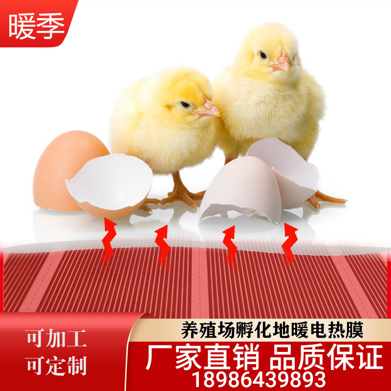 暖季养殖场蔬菜大棚孵化器仔猪电热板猪圈猪舍石墨烯地暖保温加热