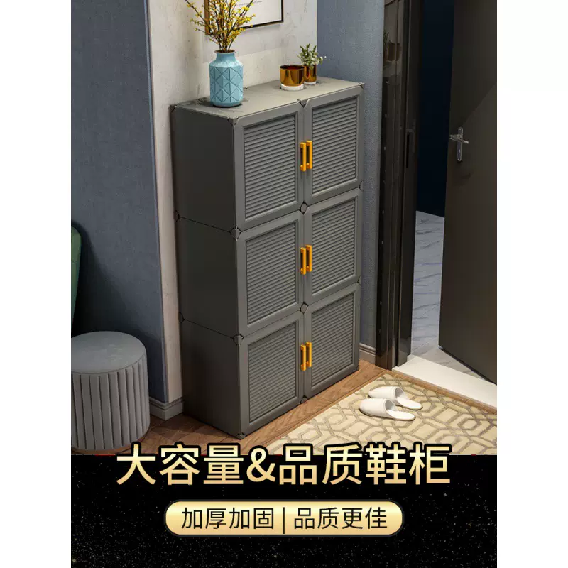 入门鞋柜2021新款家用有门门口室外过道电梯口门外走廊用客厅收纳