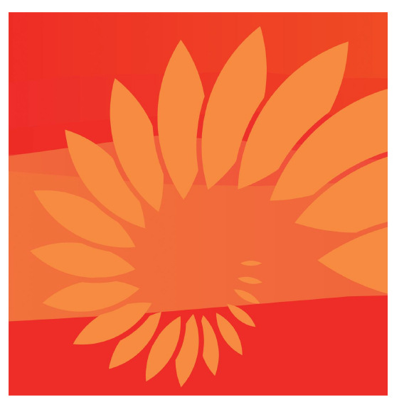 Versión coreana de la nueva bufanda de seda cuadrada pequeña de cachemira pura de 70cm impresa, bufanda de flor de anacardo grande, disponible en stock transfronterizo