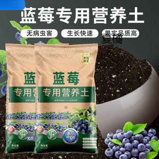 �N�{ݮ���I�B���{ݮ�����������������Nֲ�ЙC������