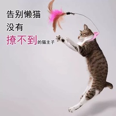 猫の棒を笑わせる猫のおもちゃは首をかけて猫の棒を笑わせる