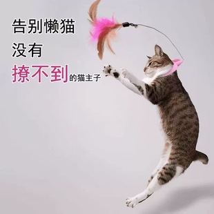 Cat Toy Cat Toy Hanging Neck Cat Toy Cat Toy Self-Hi Cat Toy Cat Toy Cat Toy with Feather and Bell Interactive Cat Collar