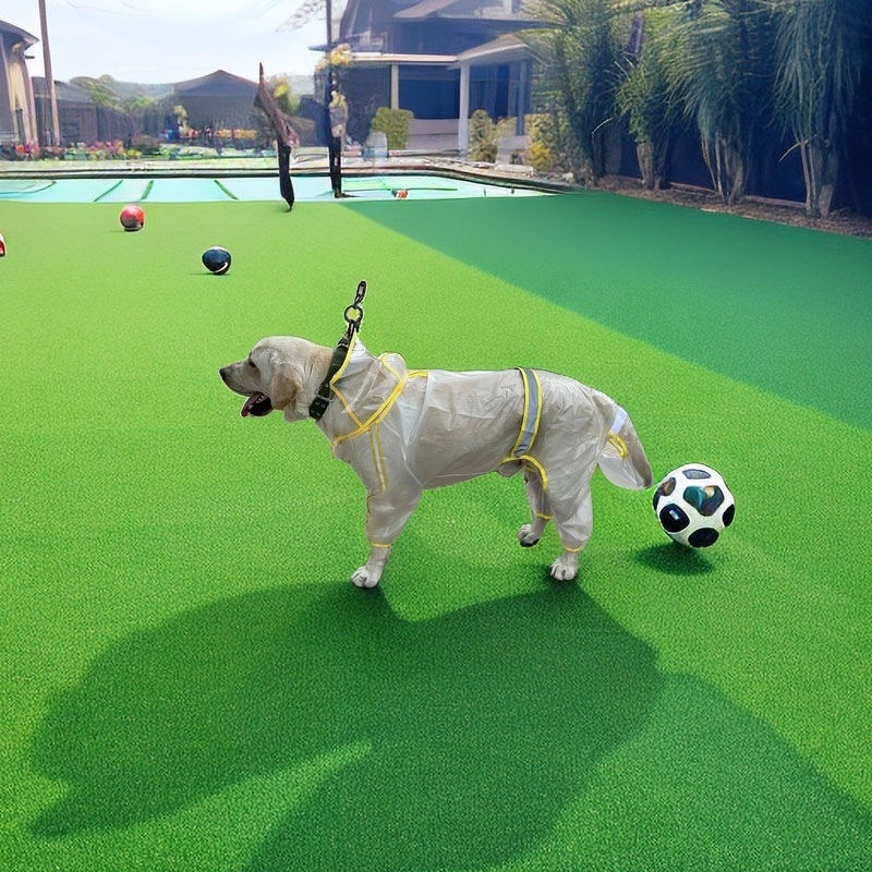 5b7e05d7-2eb6-4936-9aa7-823747c5a5d6.jpe