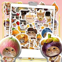 152����ʳ؈؈ʳ���N���ɐ��b�؈���֙C����diy�N���S�����l�Ļ�