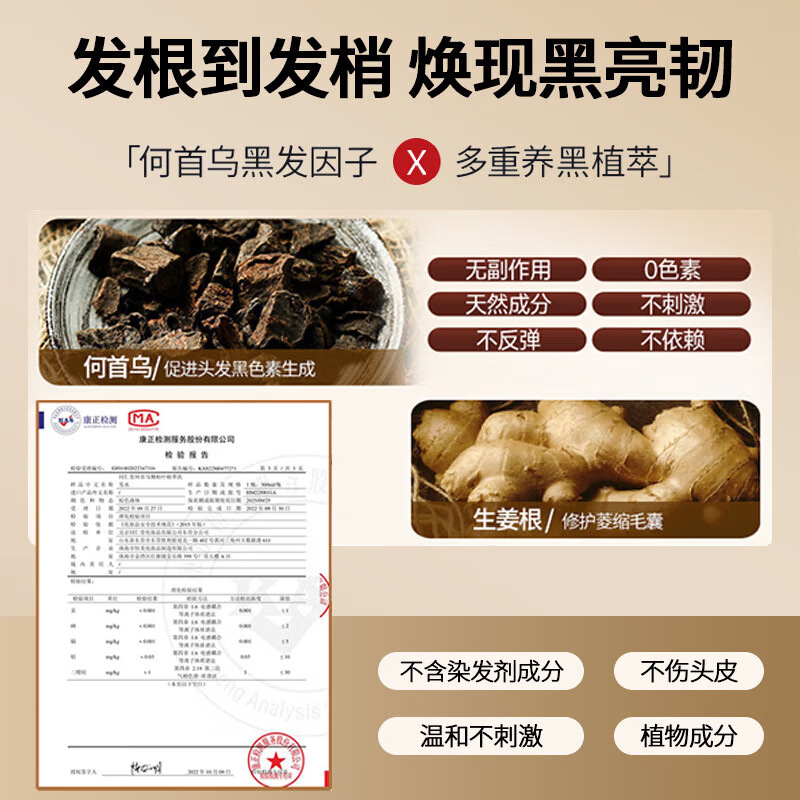 샴푸 베이징 TONGRENTANG BLACK GANODERMA LUCIDUM POLYGONUM MULTIFLORUM 식물 추출물 샴푸 당일 배달