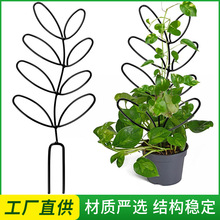 ��������֧��ֲ���������~�����ٻ��܈@ˇ�̶��U���R�d�̨���Ѽ�