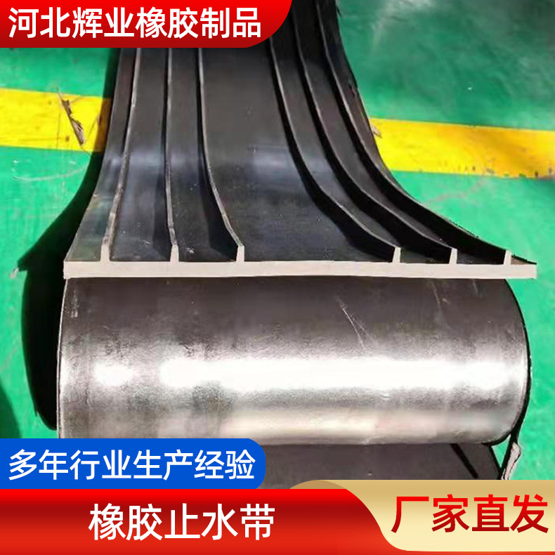 橡胶止水带厂家 外贴背贴P型橡胶止水带 遇水膨胀中埋钢边止水带