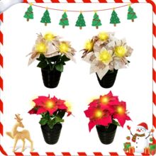 �羳�����W��һƷ�t����LED�l���}�Q�����b��u�ҾӴ��^���[��