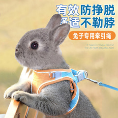 ウサギ牽引ロープ、脱走防止、ウサギの散歩専用服ロープ、ペットノーム垂れ耳ウサギの散歩ロープ