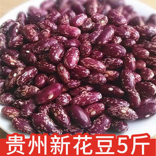 紫花豆圖片 海量高清紫花豆圖片大全 阿里巴巴 紫花豆圖片 海量高清紫花豆圖片大全 阿里巴巴