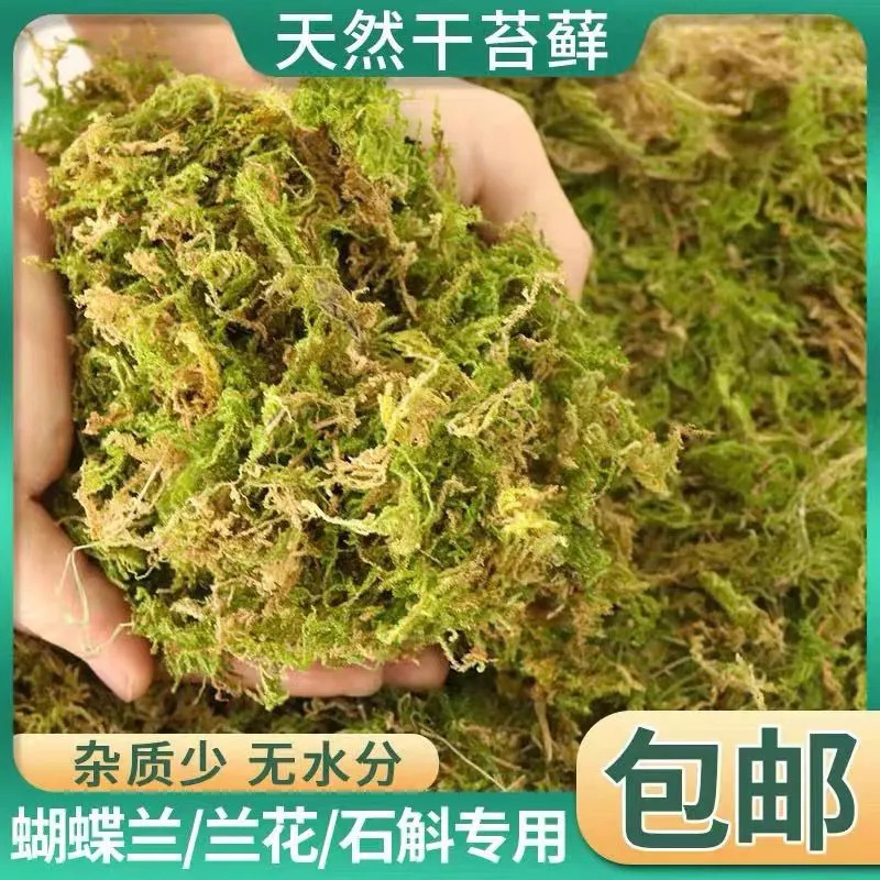 干苔藓兰花土蝴蝶兰青苔种植土石斛营养土球兰花水苔铺面厂家一件