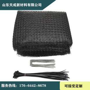Spot Wholesale Anti-Bird Net, Pond Net, Orchard Airport Protection Net, Cross-Border Anti-Bird Net
