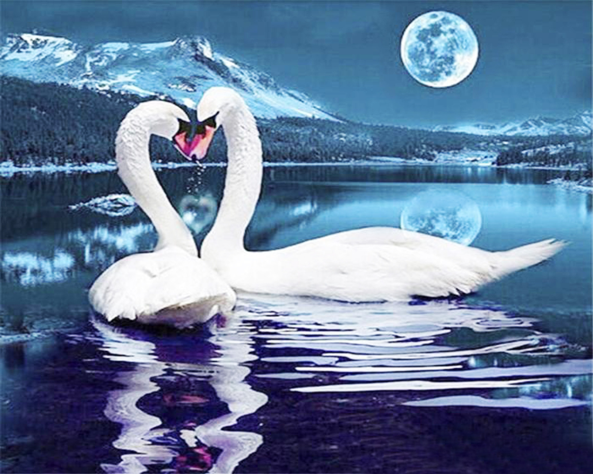 Cross-border 5d Amazon diamante pintura pegatinas hecho a mano DIY animal ladrillo pintura sala de estar pintura decorativa pegatinas al por mayor