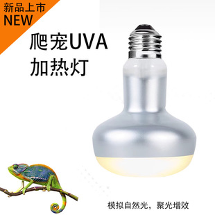 R80�՟�����UVA�ӟ�������񱳟��ת{�����،m����۹�ȡů����