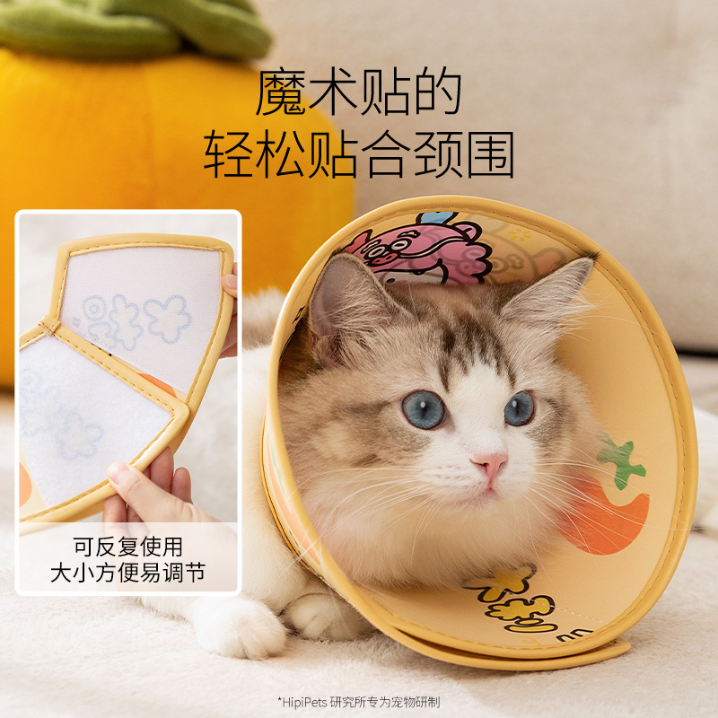 Gato Buena suerte, lenguaje auspicioso, mascota, anillo Elizabeth, capucha para perros, collar impermeable, suministros para mascotas