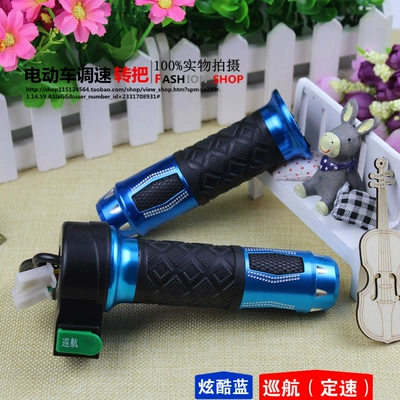 Other Electric Vehicle Accessories: Speed Controller for Tricycles, Cruise Control - model-006-cruise-control-turret-bluepair