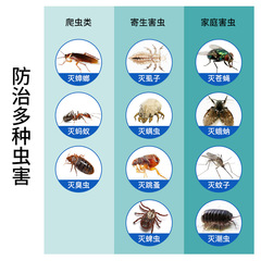 Sewer small flying insect killing artifact indoor kitchen bathroom pipe insecticide household insect repellent and moth midge medicine