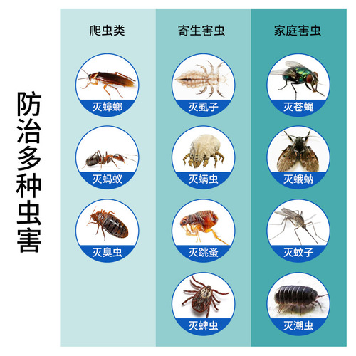 Sewer small flying insect killing artifact indoor kitchen bathroom pipe insecticide household insect repellent and moth midge medicine