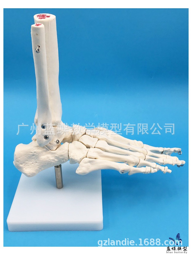 详情_07