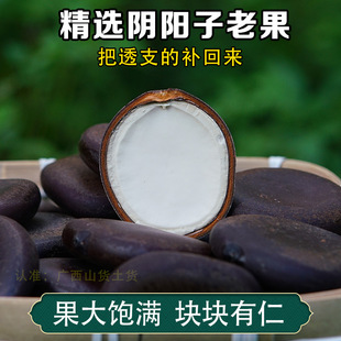 �V��Ұ�����Ә}����500g�I���^������ľ�����ݾ����L������ș��