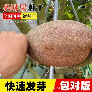 ������N���R�Ӽ{�N��ԭ�b�ļ��߲�ˮ���N�Ӵ�ȫ�˷N�Ӵ��l���l