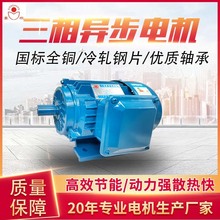 0.75/1.1kwͭоye2-8012/YE2-8022е豸׵