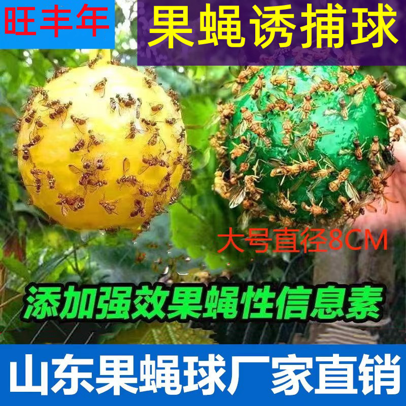 Fruit Fly Ball Yellow Green Whole Box Wholesale Insect Trap Ball Sticky Insect Ball Fruit Fly Trap Ball Melon Fruit Fly Needle Bee Orchard