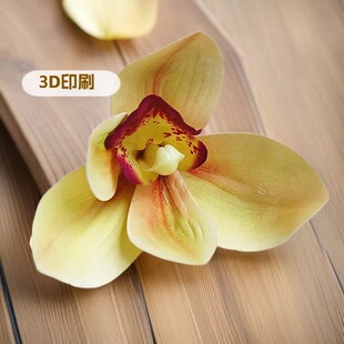 ���u3Dޥ�m���仨�^ �m�����滨�ػ����^����c�b�