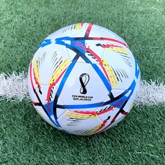 5番機縫キャンパスで白黒サッカーをします。