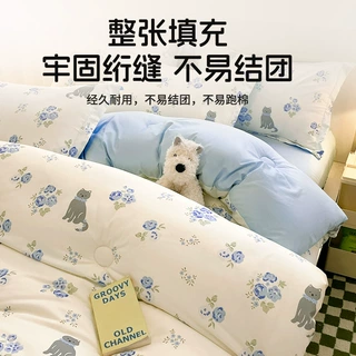 被子冬被棉被加厚保暖春秋被被芯空调被单人宿舍夏凉被双人盖被