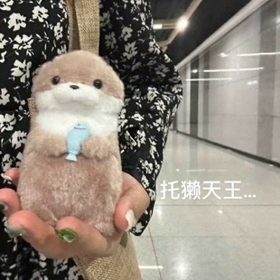 amuse�ɐ�Сˮ�H���~ë�q��ż������жY����N�ͶY�ɐۄ���Y��