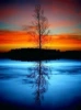 Q041, 30×40 см