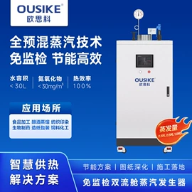 燃气锅炉;电热锅炉;燃气热水器