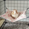 Pink strawberry