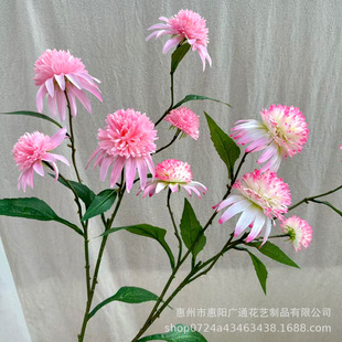 5�^�ɹ��� С�����ķ��滨�Ҿӿ͏d�b�c�����û����l�߷���