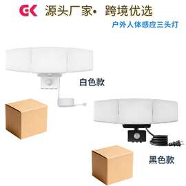 美规安防感应灯led户外庭院灯别墅灯户外人走灯灭防水壁灯
