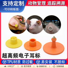 电子耳标rfid动物耳标智能追溯猪牛羊电子标签超高频电子猪耳标