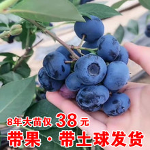 {ݮ玧ԵϷNֲW᠖۾Gʯ{ݮNֲ