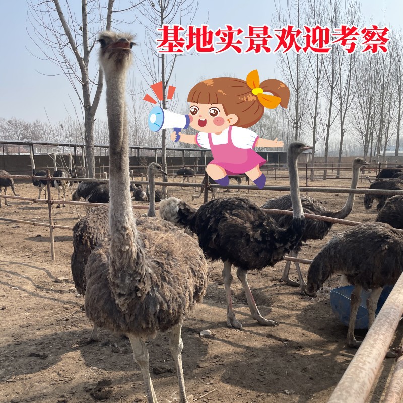 微信图片_20230308091118_副本