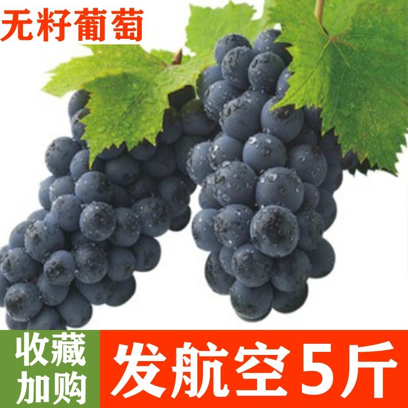 雲南新鮮當季夏黑葡萄整箱無籽黑加侖提子5斤應當季孕婦水果包郵